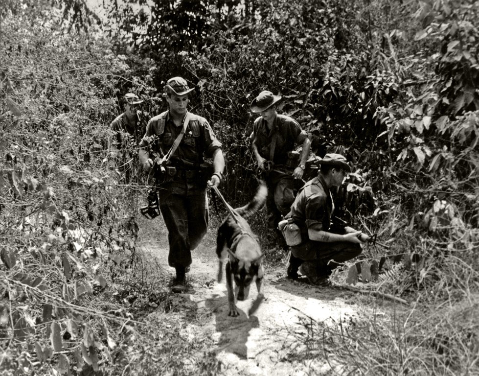 1967-10-29_Scout_dog_patrol_LocNinh