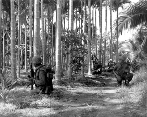 Soldiers of the Queens Cobras conduct a search and sweep mission in Phuoc Tho, 1967