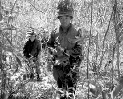 Korean soldiers search the jungle near Qui Nhon for Viet Cong