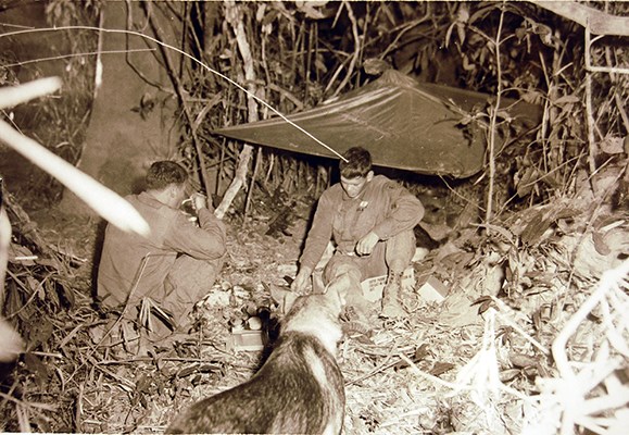 38th Scout Dog Platoon, 25th Infantry Division, handler, patrol, jungle, Operation Yellowstone