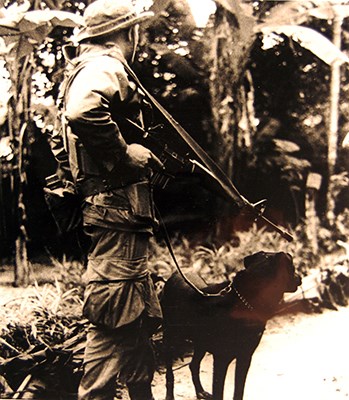 scout, tracker, dog, handler, army, patrol, point, handler, lab