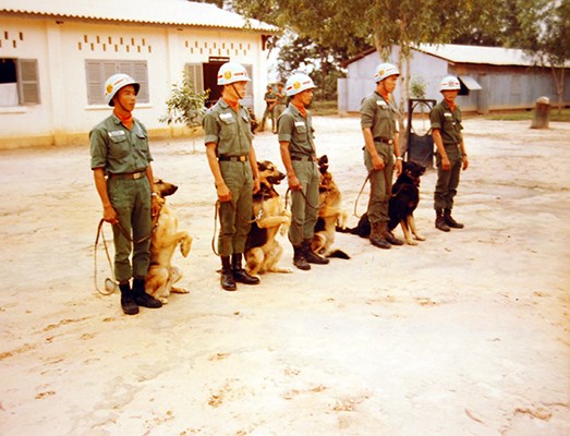 ARVN, Scout dog, training, south Vietnamese,canine, training