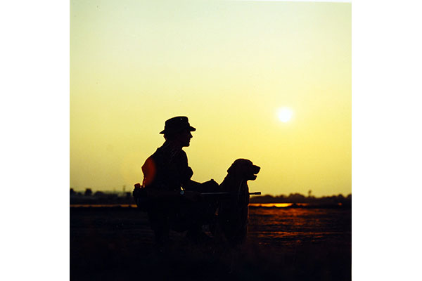dog, handler, scout, war dog, 4th Infantry Detachment