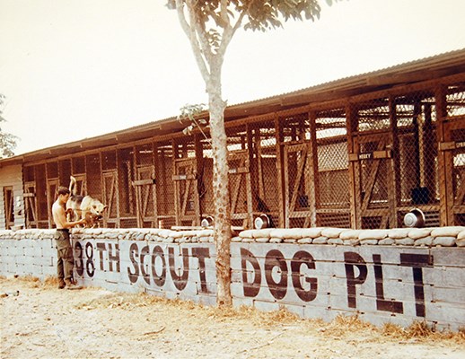 38th Scout Dog Platoon, 25th Infantry Division, handler, Cu Chi, training