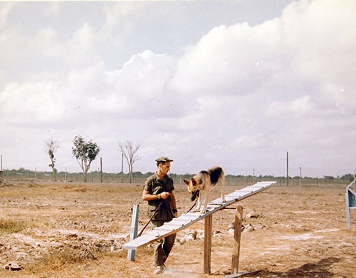 38th Scout Dog Platoon, 25th Infantry Division, handler, Cu Chi, training