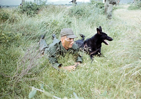 Scout Dog, 101st Airborne Division, patrol, 1st Brigade, handler