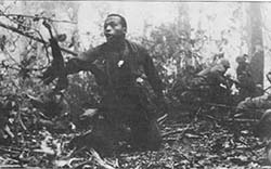 173rd Airborne Brigade Troops