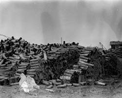 Empty Artillery Shell Casings