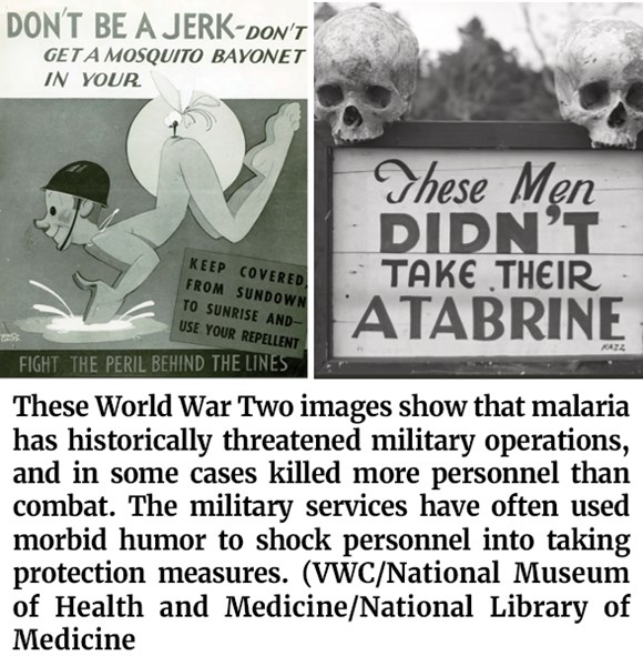 A composite image of two anti-malaria ads.