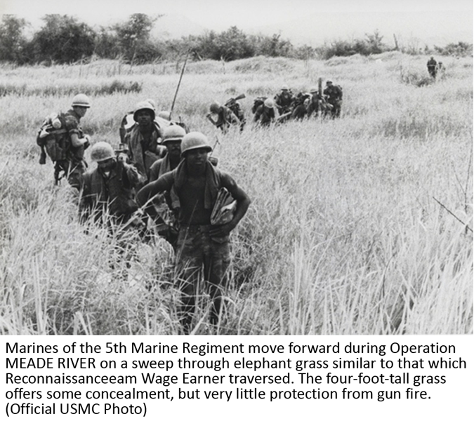 Marines of the 5th Marine Regiment move forward during Operation MEADE RIVER on a sweep through elephant grass similar to that which Reconnaissance Team Wage Earner traversed. The four-foot-tall grass offers some concealment, but very little protection from gun fire. (Official USMC Photo)  