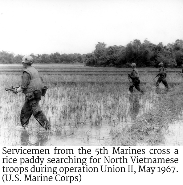 Photo of Servicemen from the 5th Marines crossing a rice paddy searching for North Vietnamese troops