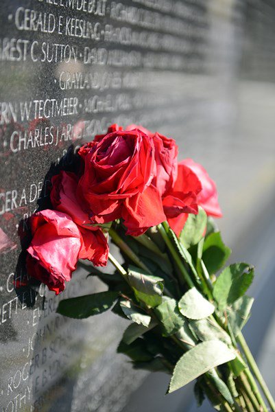 Photo of a rose left at The Wall of the Vietnam Veterans Memorial in Washington, D.C.