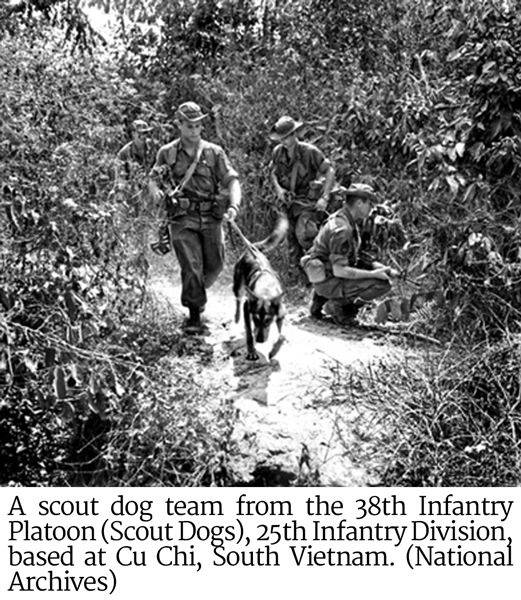scout dog team