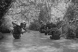 Marines Patrol Up a Stream near Dong Ha