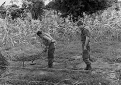 NEWZAD Engineers Clearing Land Mines