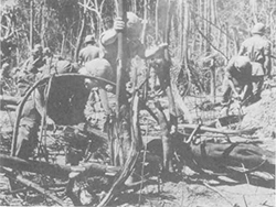 Preparing a Helicopter Landing Zone