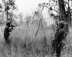Soldiers Advance through the Elephant Grass