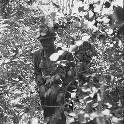 Troops of the 1st Infantry Division 