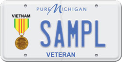 Vietnam Service Medal License Plate